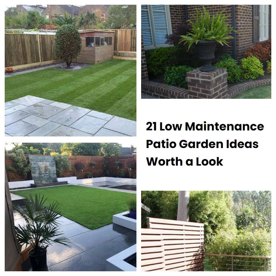 21 Low Maintenance Patio Garden Ideas Worth a Look SharonSable