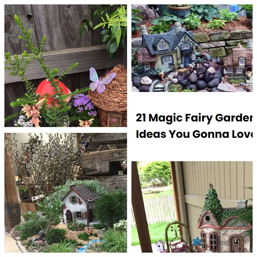 21 Magic Fairy Garden Ideas You Gonna Love