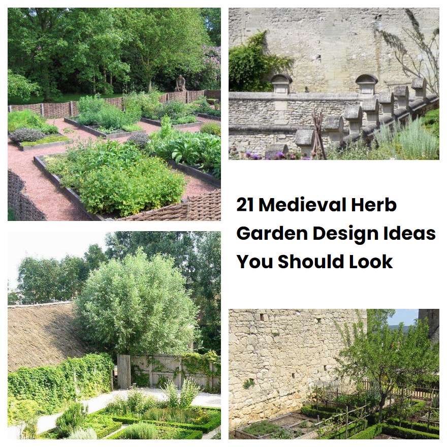 21 Medieval Herb Garden Design Ideas You Should Look SharonSable