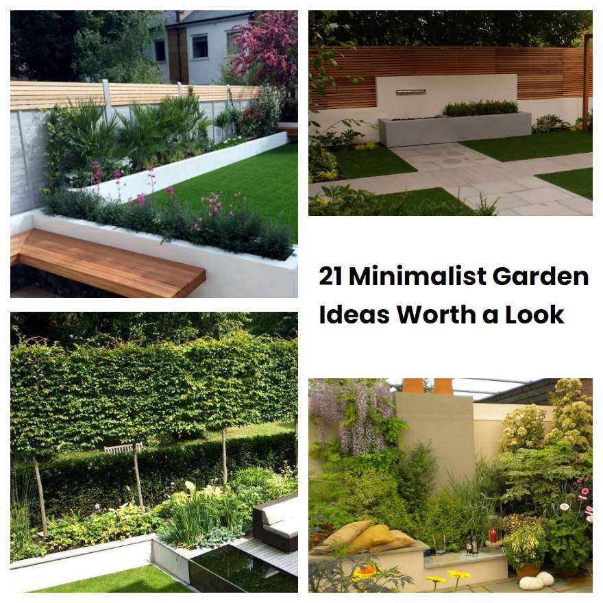 21 Minimalist Garden Ideas Worth a Look