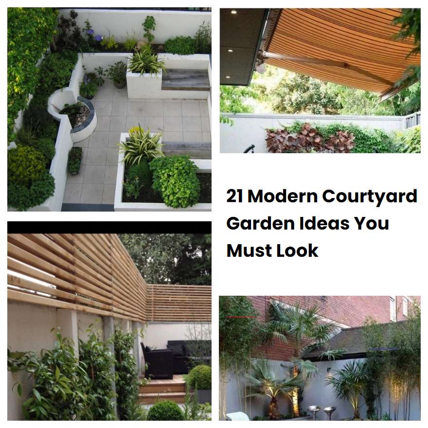 21 Modern Courtyard Garden Ideas You Must Look