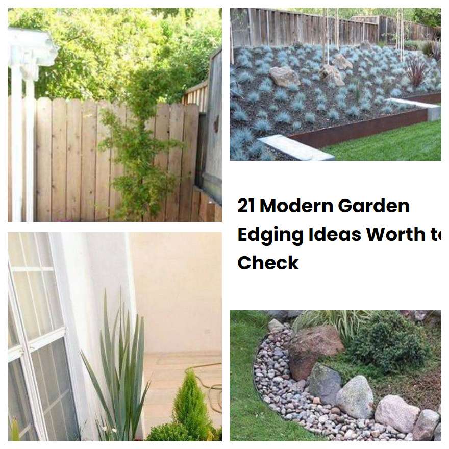 21 Modern Garden Edging Ideas Worth to Check SharonSable