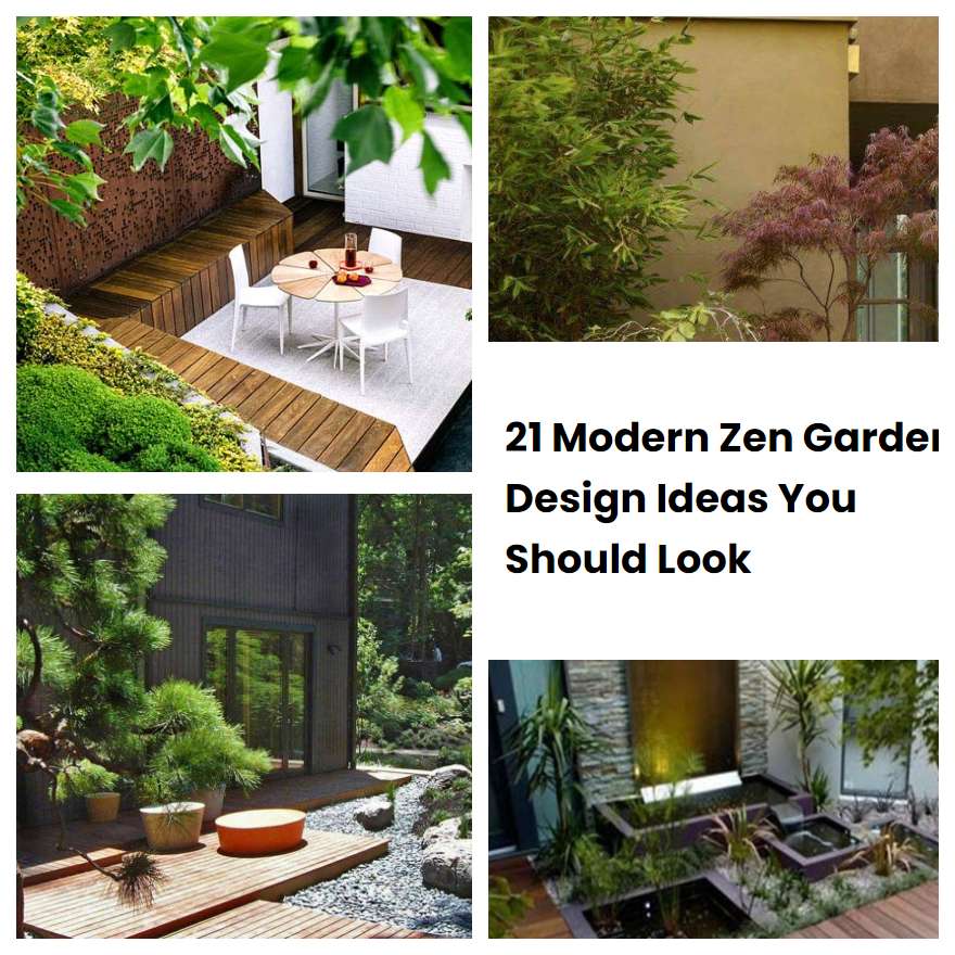 21 Modern Zen Garden Design Ideas You Should Look SharonSable