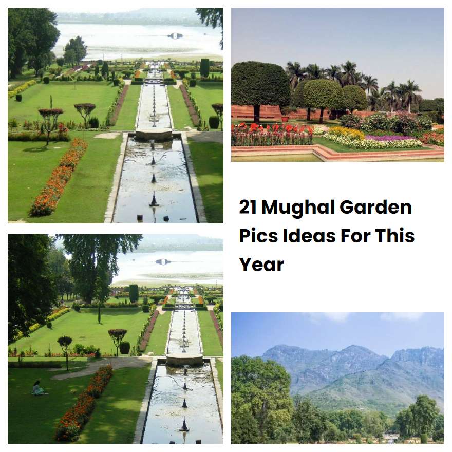 21 Mughal Garden Pics Ideas For This Year