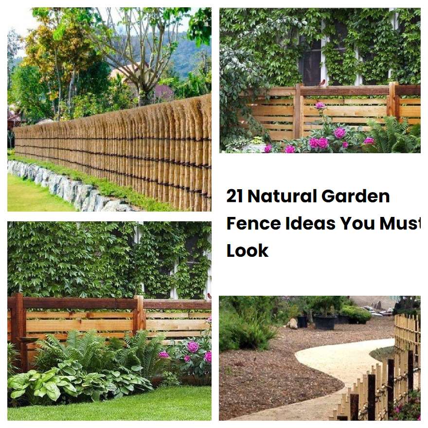 21 Natural Garden Fence Ideas You Must Look