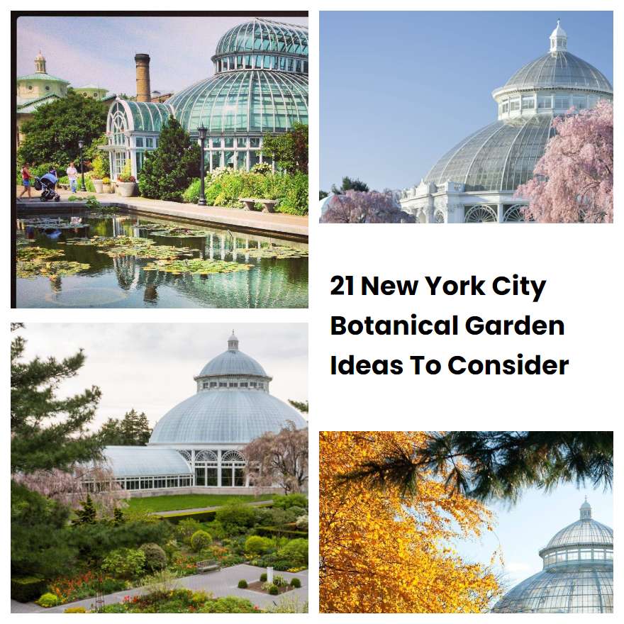 21 New York City Botanical Garden Ideas To Consider
