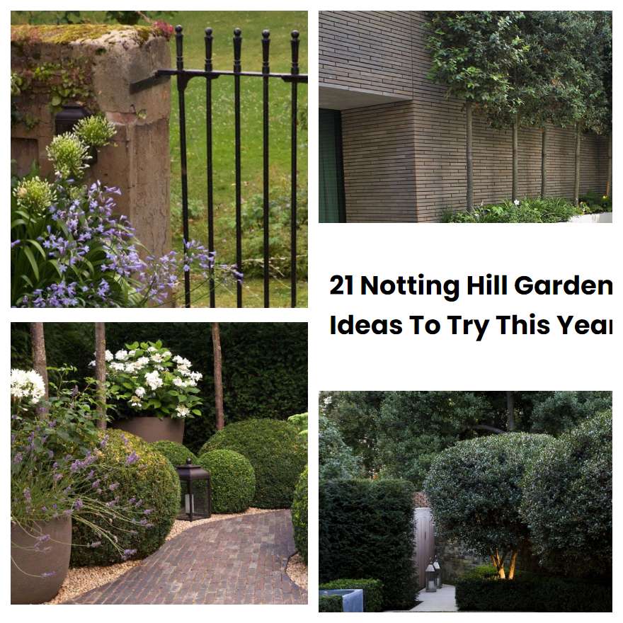 21 Notting Hill Garden Ideas To Try This Year