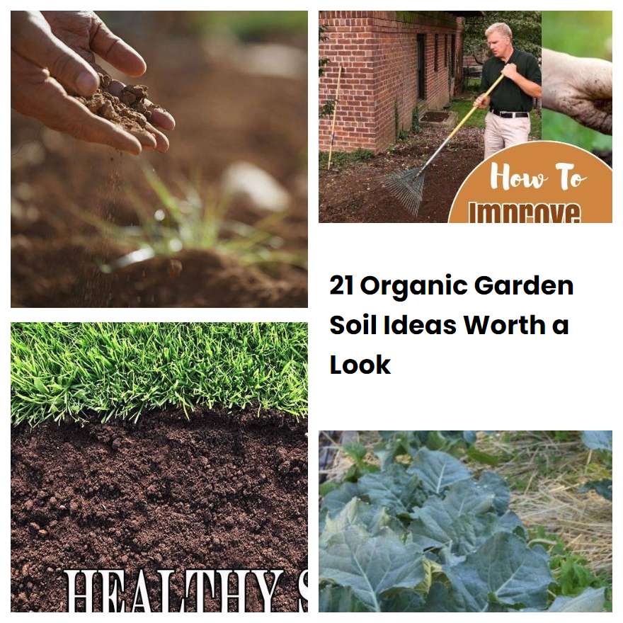 21 Organic Garden Soil Ideas Worth a Look SharonSable