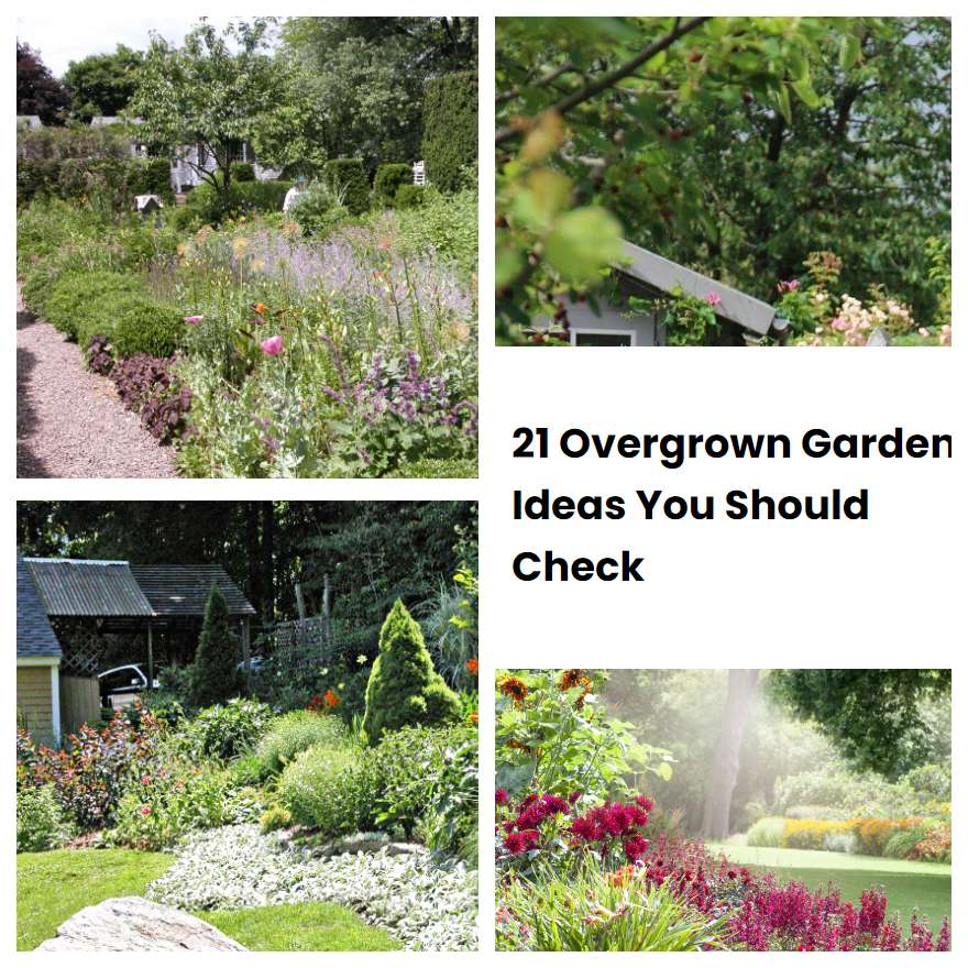 21 Overgrown Garden Ideas You Should Check