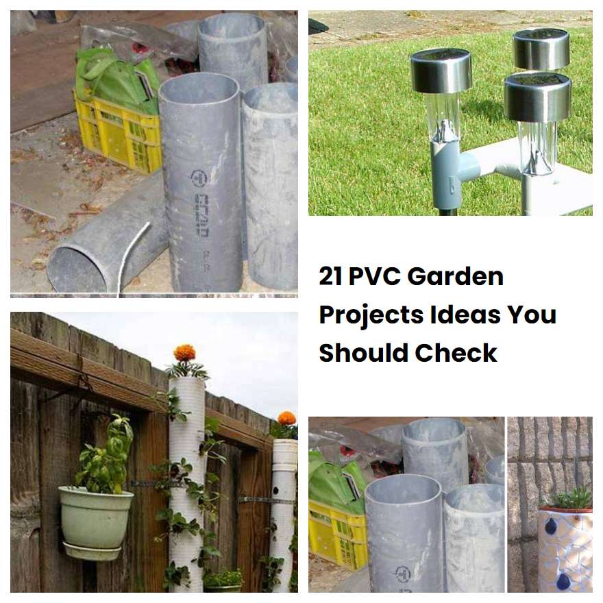 21 PVC Garden Projects Ideas You Should Check SharonSable