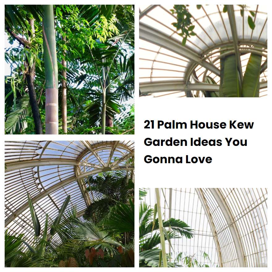 21 Palm House Kew Garden Ideas You Gonna Love