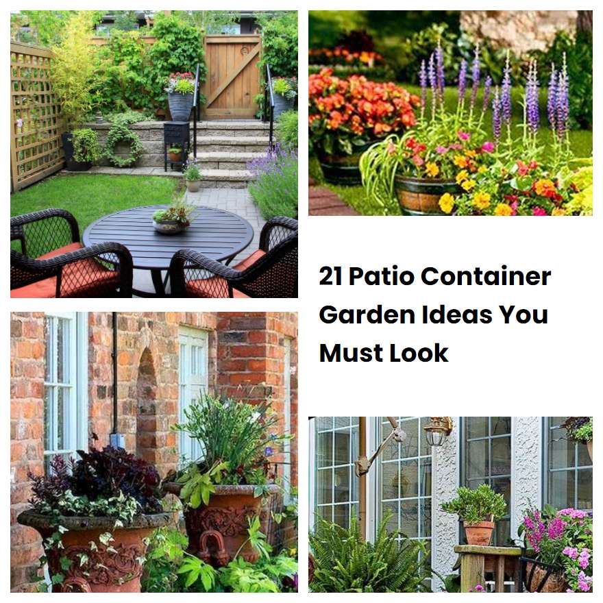 21 Patio Container Garden Ideas You Must Look SharonSable