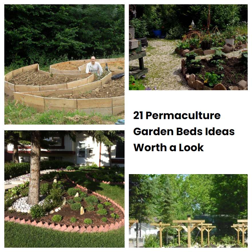 21 Permaculture Garden Beds Ideas Worth a Look