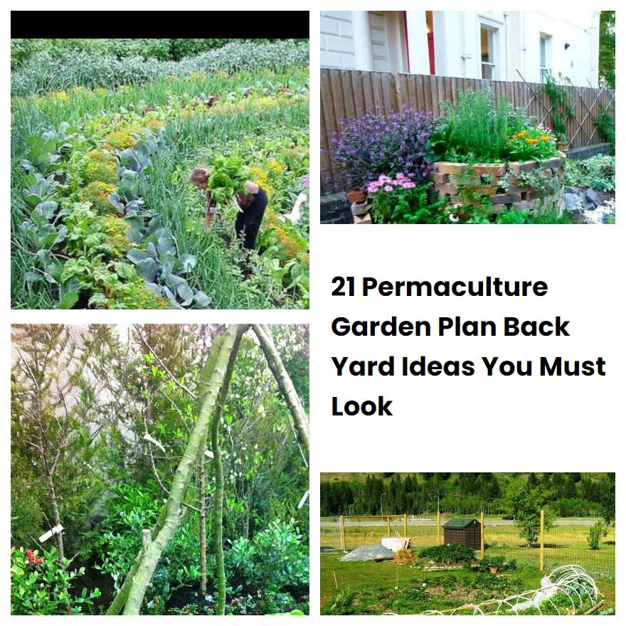 21 Permaculture Garden Plan Back Yard Ideas You Must Look