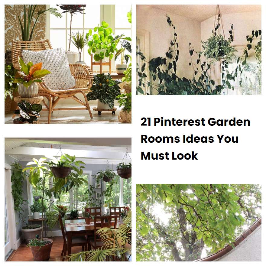 21 Pinterest Garden Rooms Ideas You Must Look