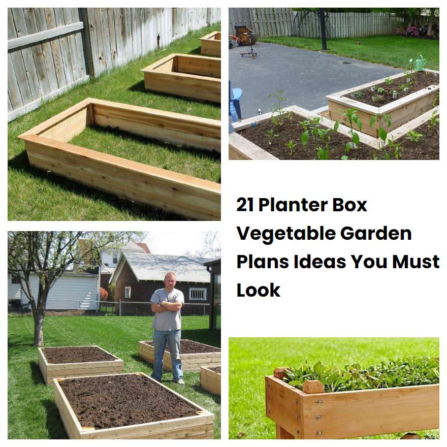 21 Planter Box Vegetable Garden Plans Ideas You Must Look SharonSable
