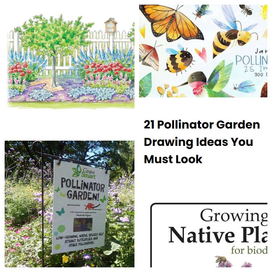 21 Pollinator Garden Drawing Ideas You Must Look
