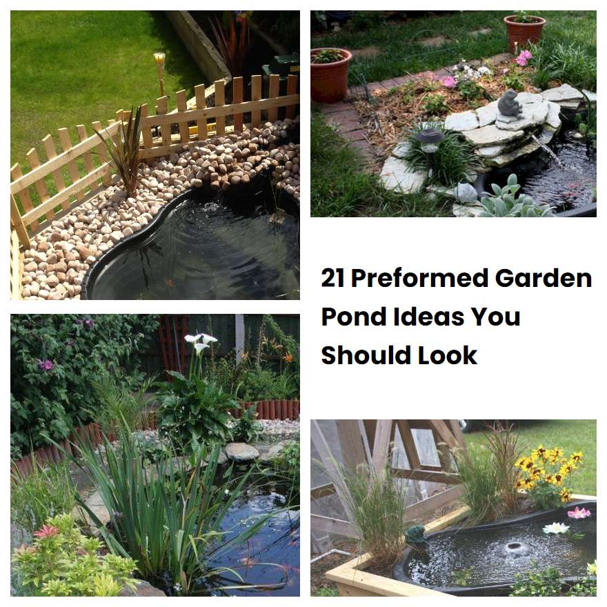 21 Preformed Garden Pond Ideas You Should Look SharonSable