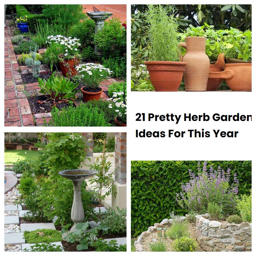 21 Pretty Herb Garden Ideas For This Year SharonSable