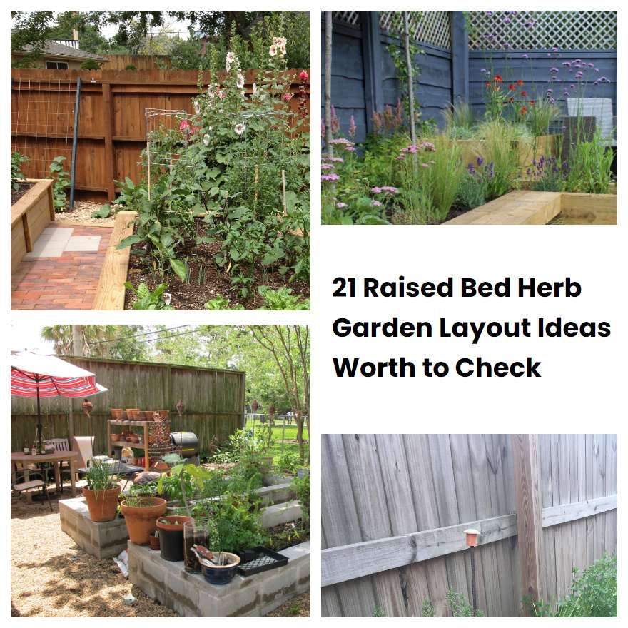 21 Raised Bed Herb Garden Layout Ideas Worth to Check SharonSable