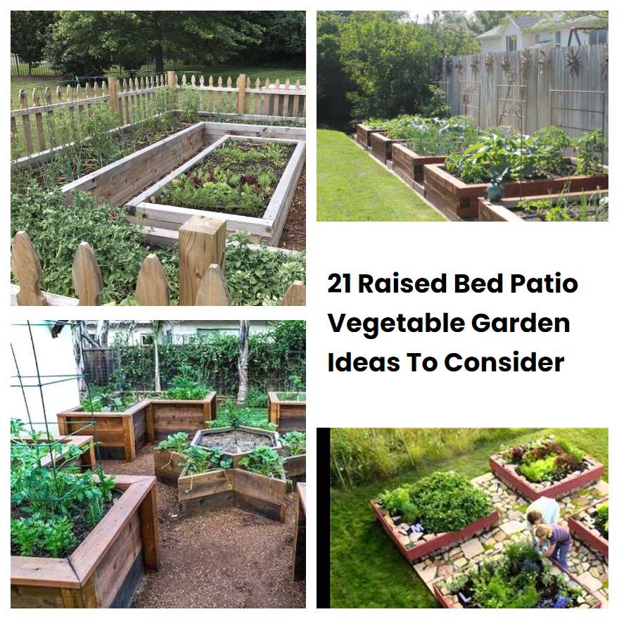 21 Raised Bed Patio Vegetable Garden Ideas To Consider