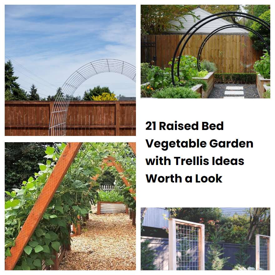 21 Raised Bed Vegetable Garden with Trellis Ideas Worth a Look
