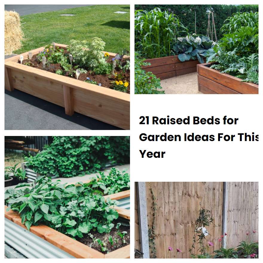 21 Raised Beds for Garden Ideas For This Year