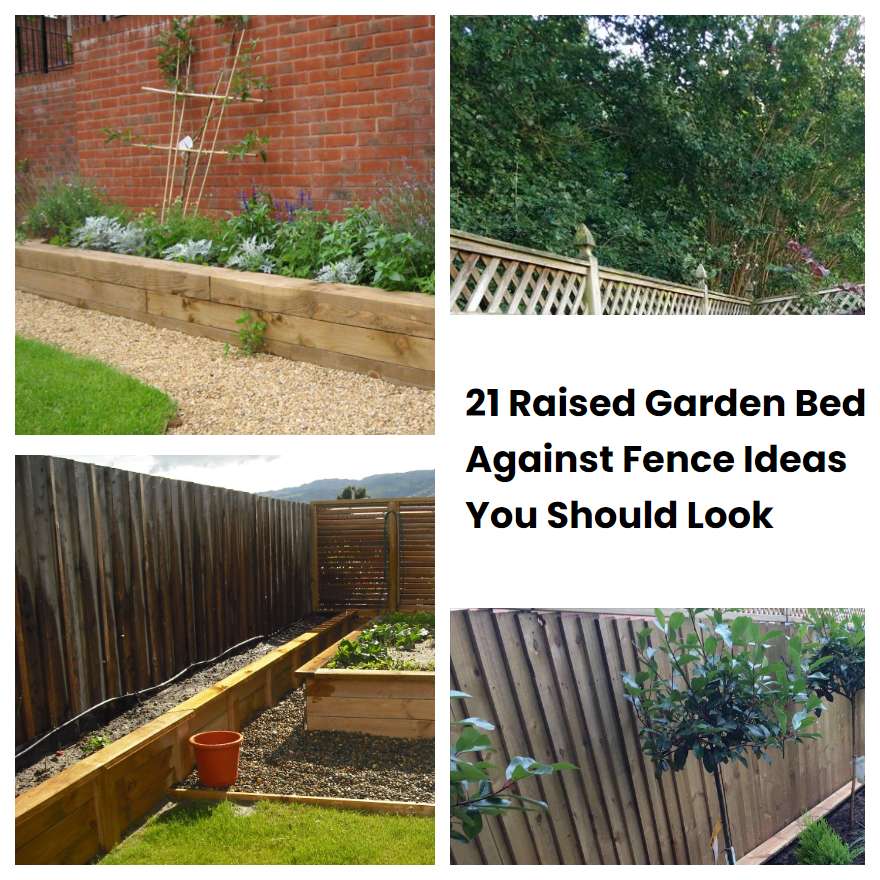 21 Raised Garden Bed Against Fence Ideas You Should Look SharonSable