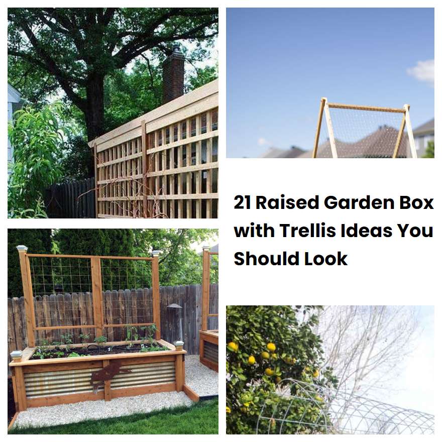 21 Raised Garden Box with Trellis Ideas You Should Look SharonSable