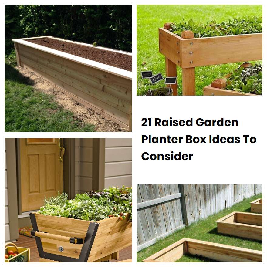 21 Raised Garden Planter Box Ideas To Consider SharonSable