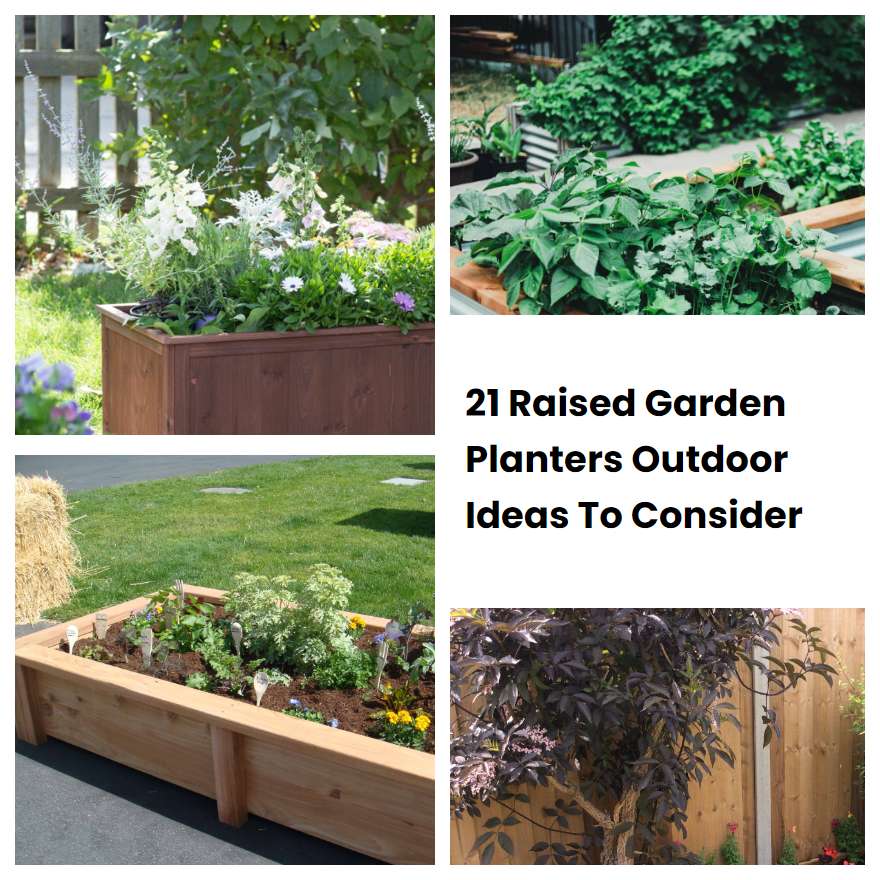 21 Raised Garden Planters Outdoor Ideas To Consider