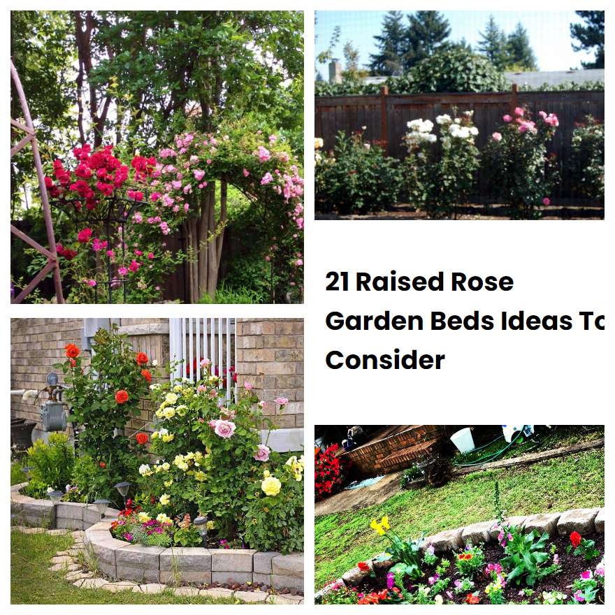 21 Raised Rose Garden Beds Ideas To Consider SharonSable