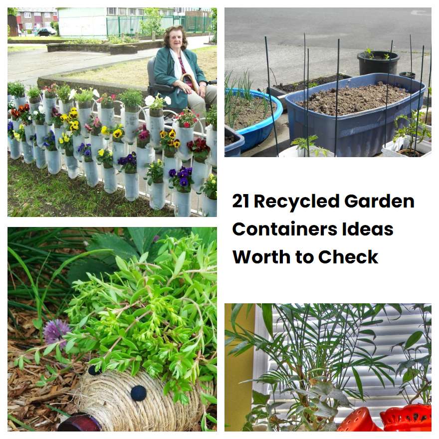 21 Recycled Garden Containers Ideas Worth to Check SharonSable