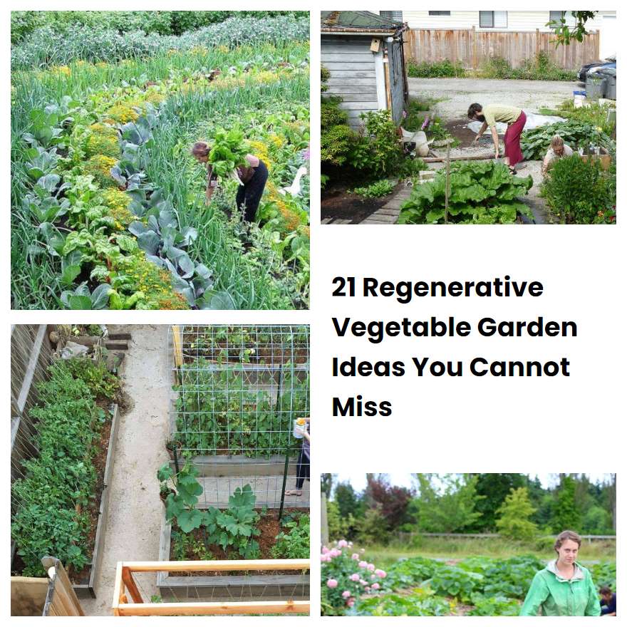 21 Regenerative Vegetable Garden Ideas You Cannot Miss SharonSable