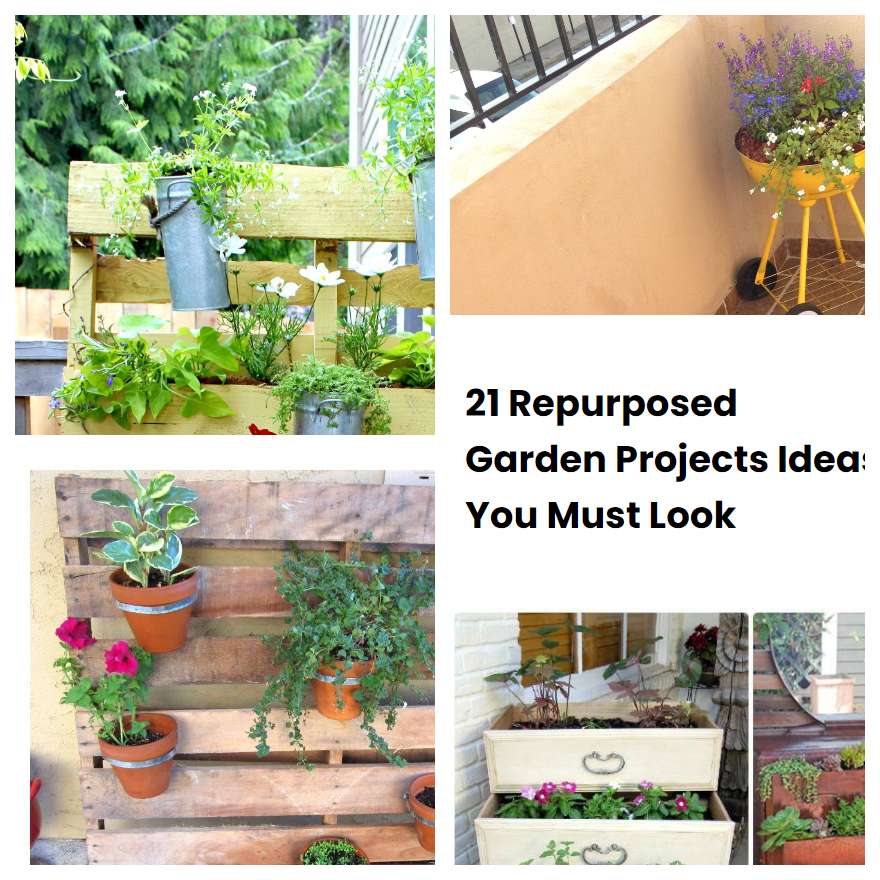 21 Repurposed Garden Projects Ideas You Must Look
