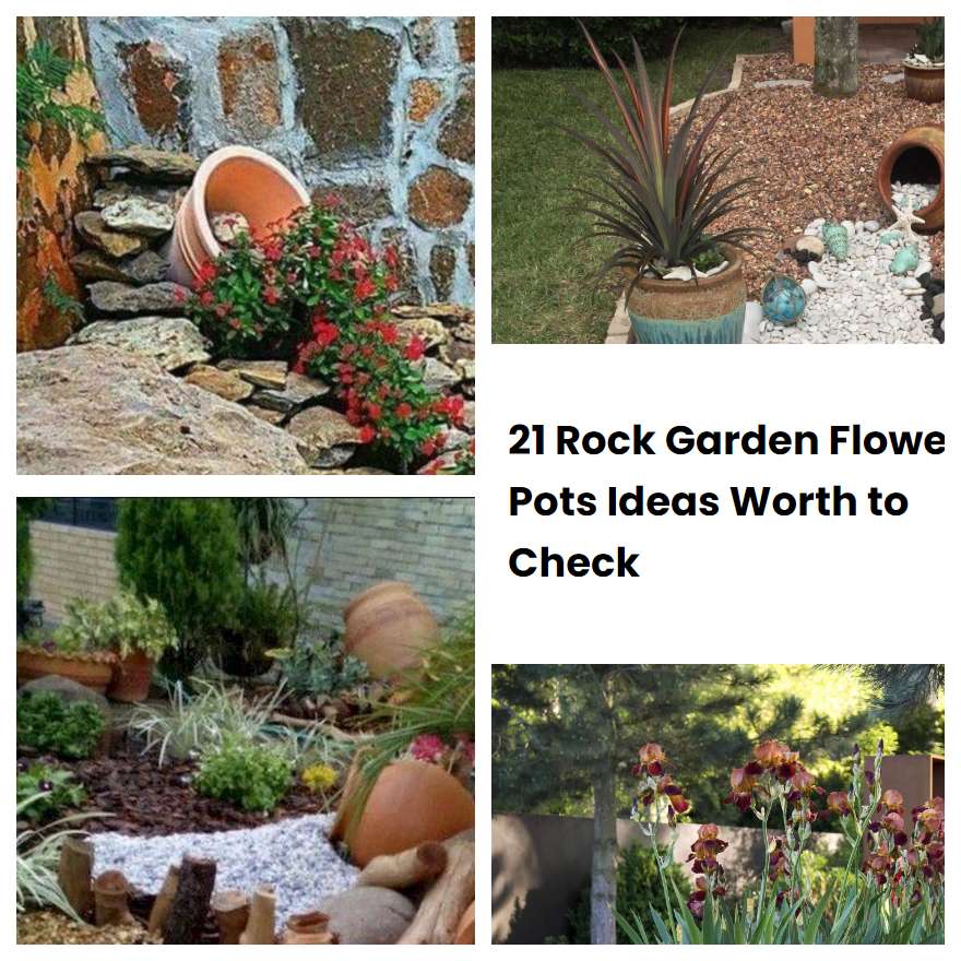 21 Rock Garden Flower Pots Ideas Worth to Check