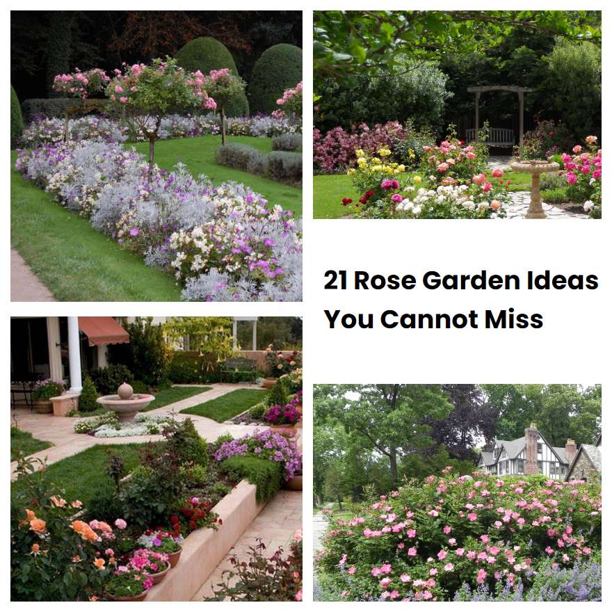 21 Rose Garden Ideas You Cannot Miss