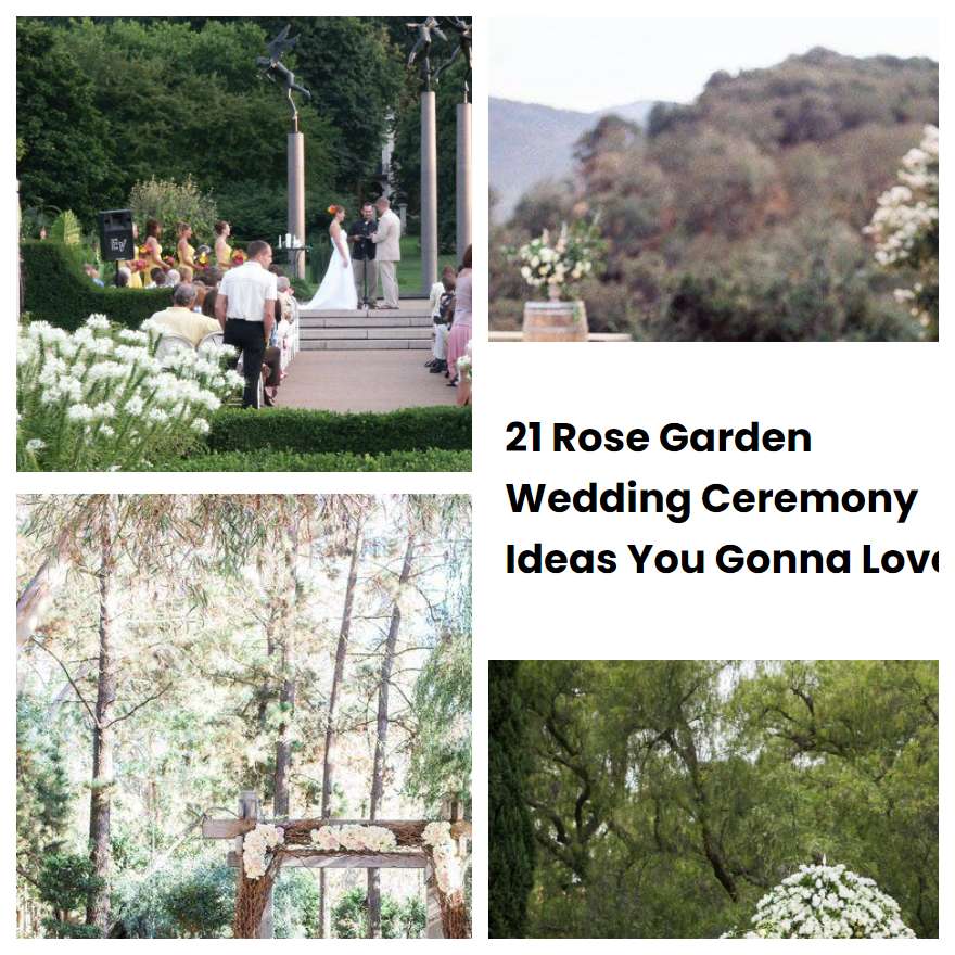 21 Rose Garden Wedding Ceremony Ideas You Gonna Love