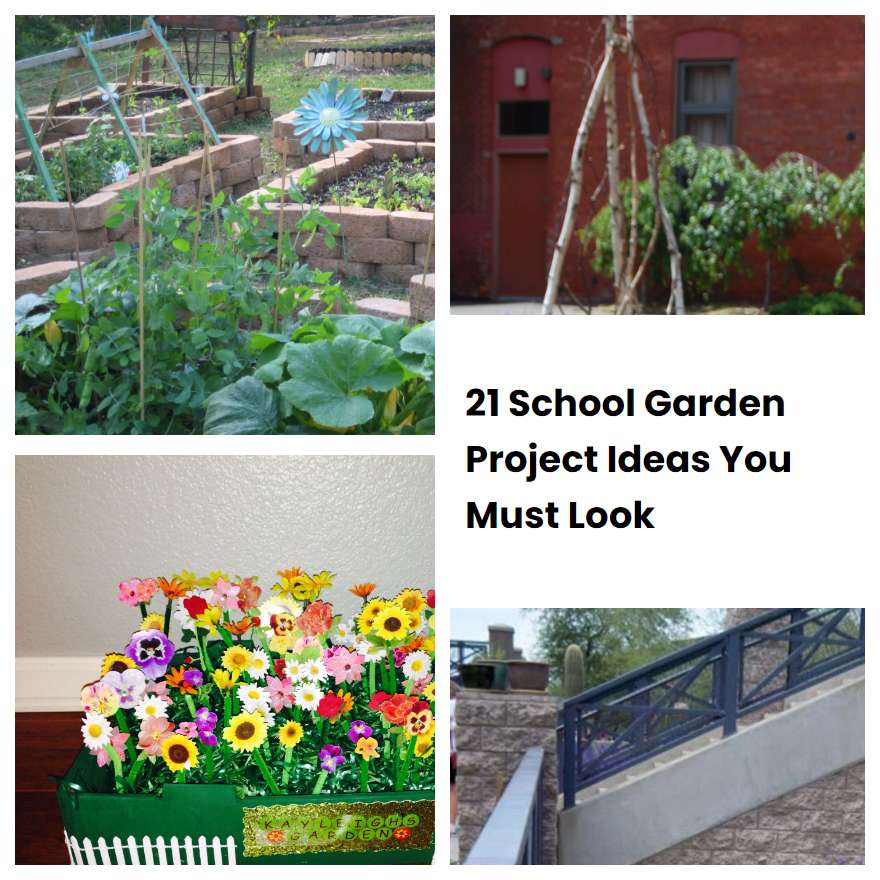 21 School Garden Project Ideas You Must Look SharonSable