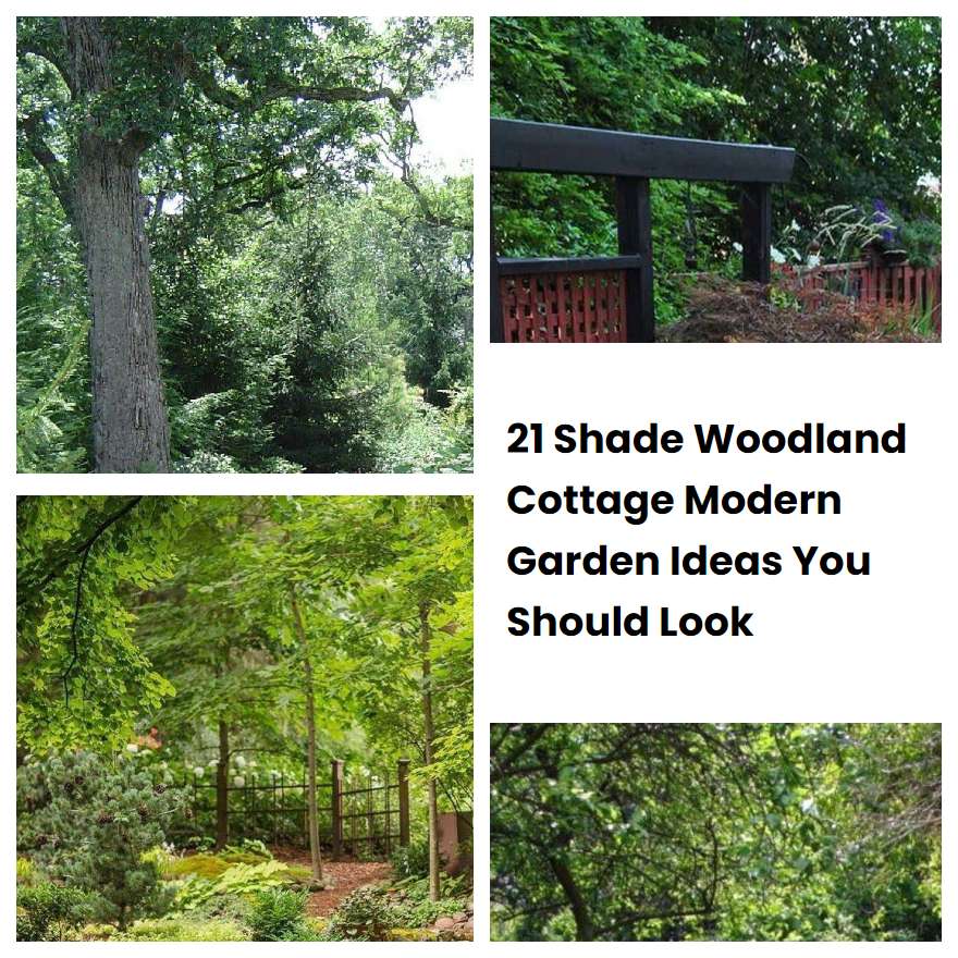 21 Shade Woodland Cottage Modern Garden Ideas You Should Look