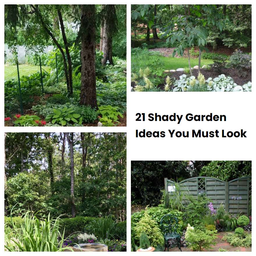 21 Shady Garden Ideas You Must Look
