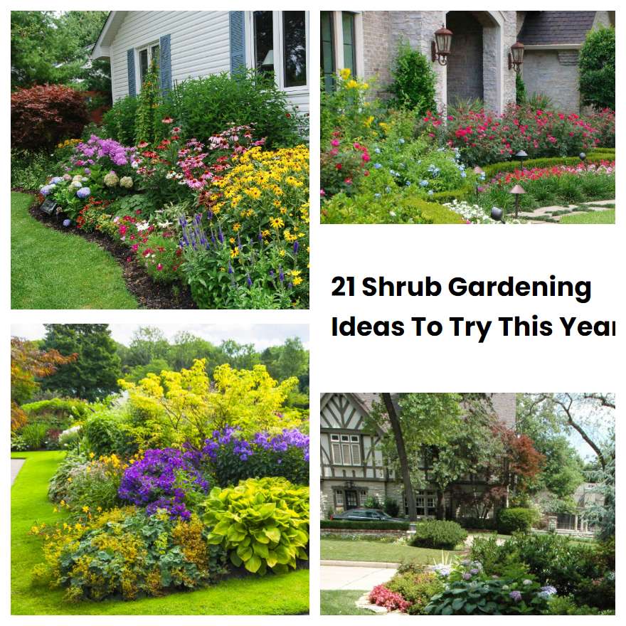 21 Shrub Gardening Ideas To Try This Year SharonSable