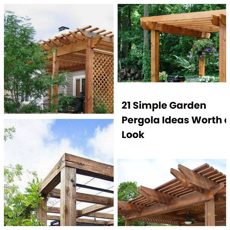 21 Simple Garden Pergola Ideas Worth a Look SharonSable