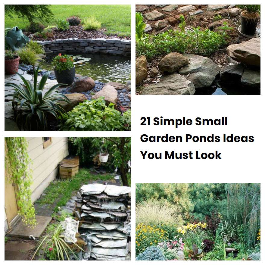 21 Simple Small Garden Ponds Ideas You Must Look