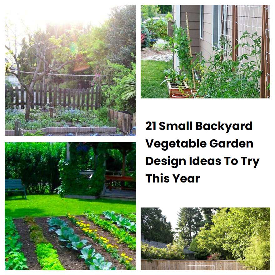 21 Small Backyard Vegetable Garden Design Ideas To Try This Year