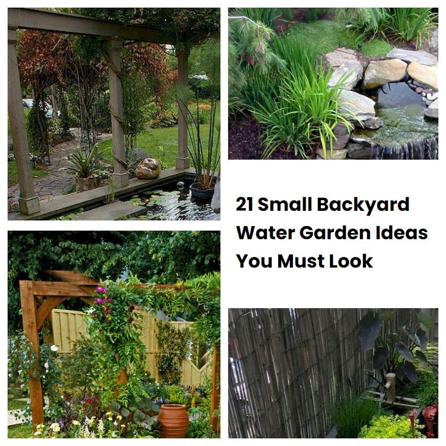 21 Small Backyard Water Garden Ideas You Must Look SharonSable