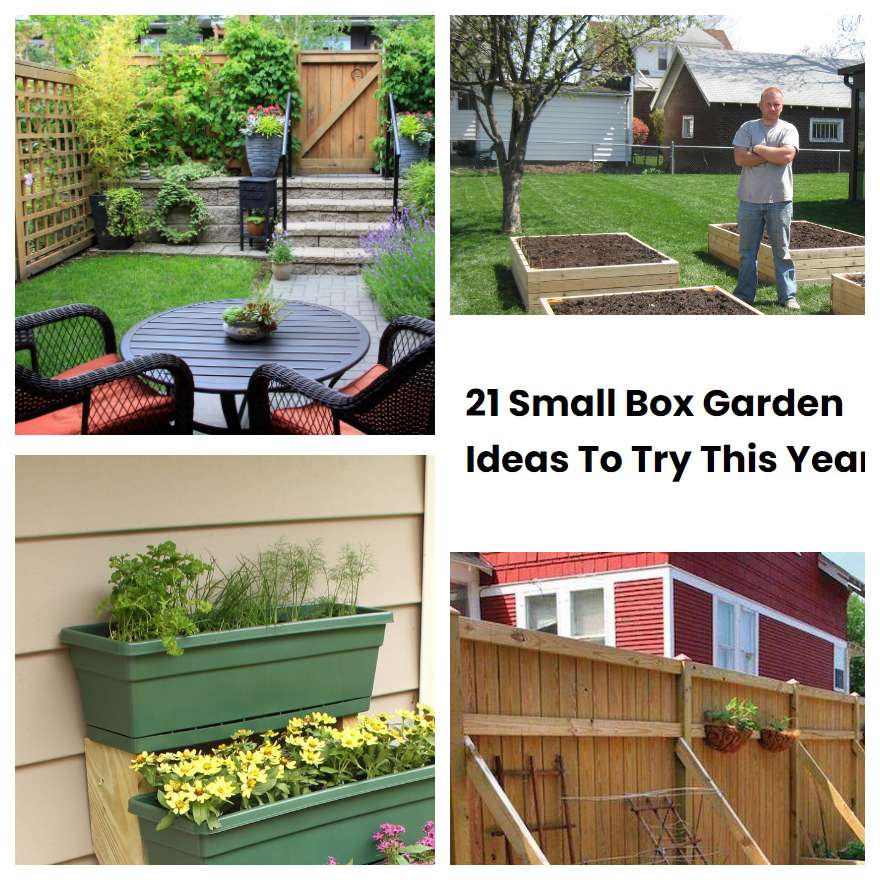 21 Small Box Garden Ideas To Try This Year SharonSable