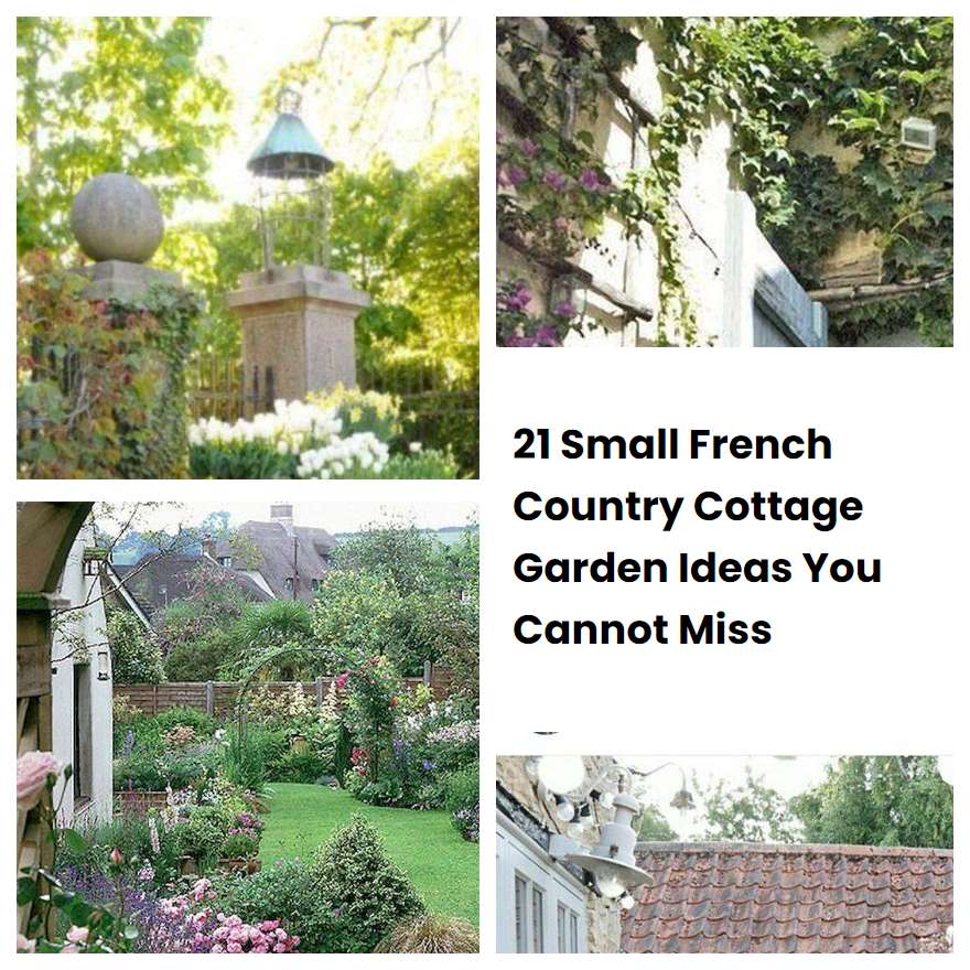 21 Small French Country Cottage Garden Ideas You Cannot Miss
