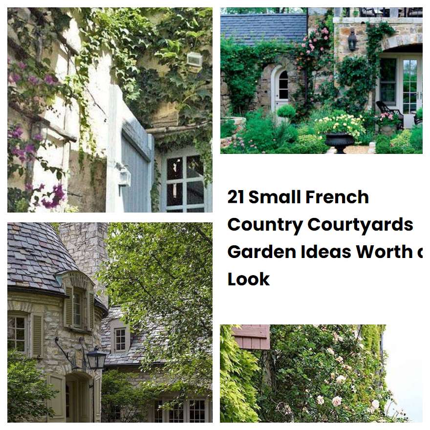 21 Small French Country Courtyards Garden Ideas Worth a Look