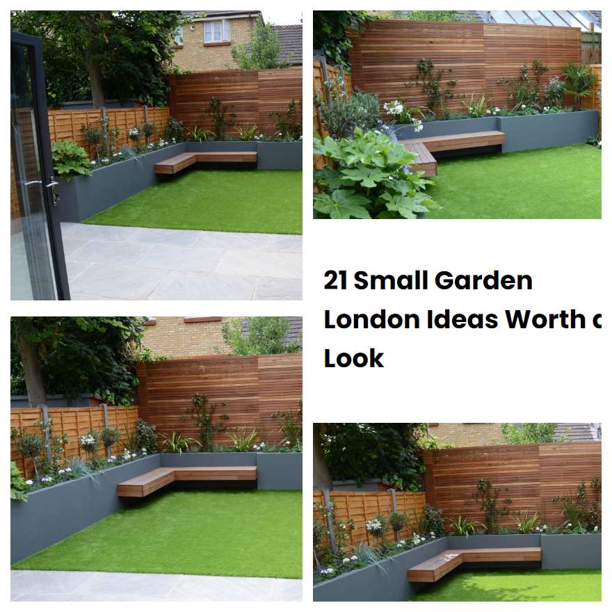 21 Small Garden London Ideas Worth a Look